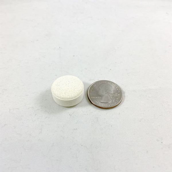 Prep-Right Survival Food Tablets Comparison to a Quarter